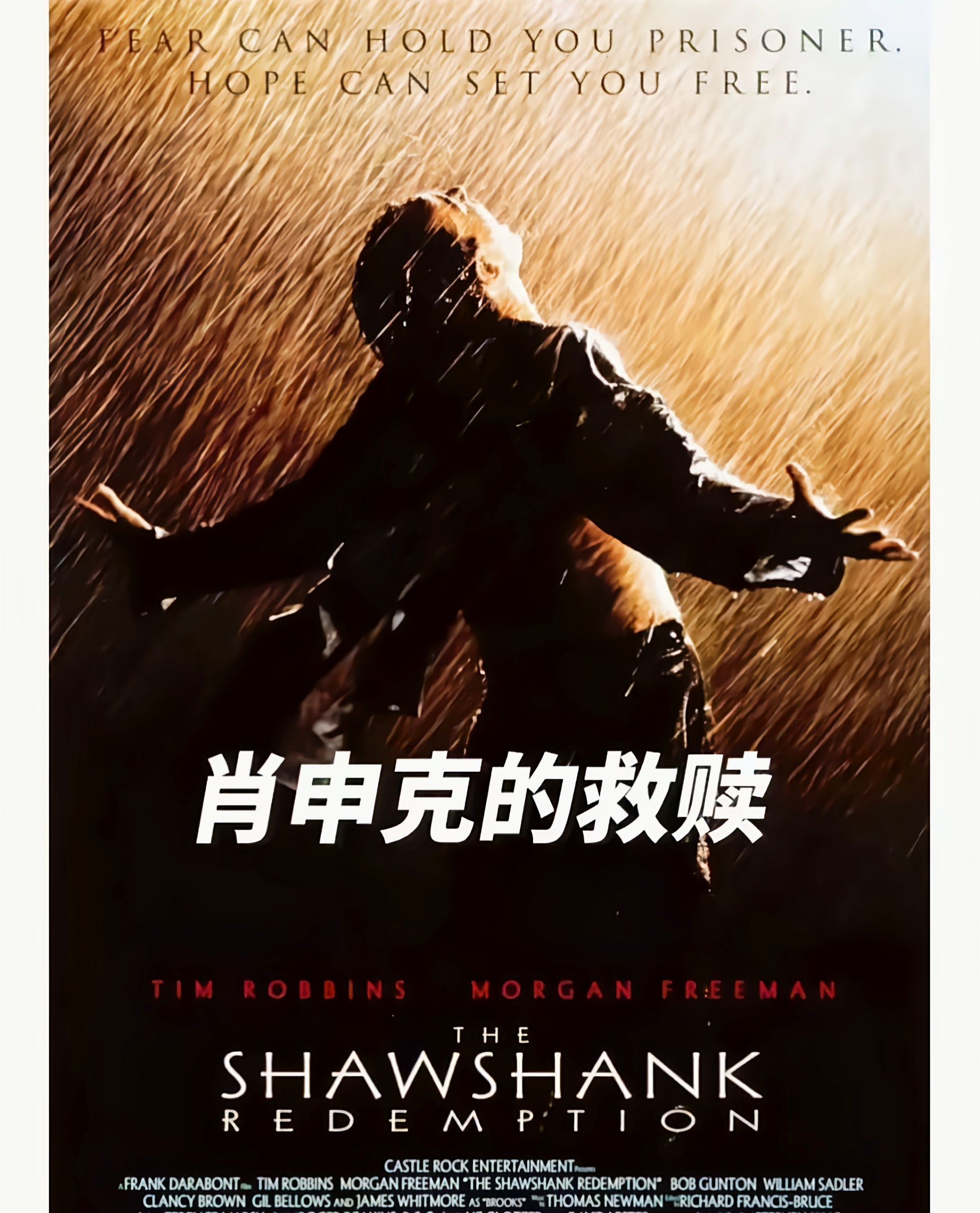 必威体育app-西悉尼流浪者迎战阿尔艾因，防守反击或成致胜关键